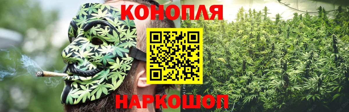 Шишки марихуана конопля Протвино